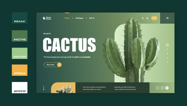 ترکیب رنگ برای طراحی سایت